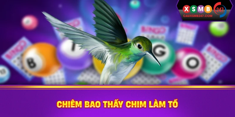 Chiêm bao thấy chim làm tổ