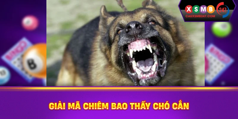 Giải mã chiêm bao thấy chó cắn