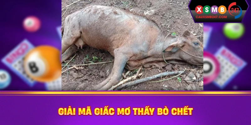 Giải mã giấc mơ thấy bò chết