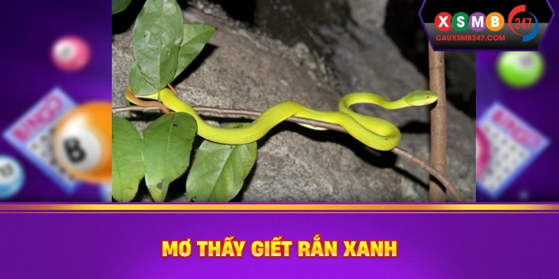 Mơ thấy giết rắn xanh