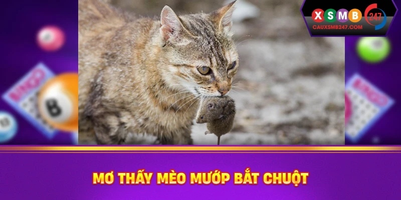 Mơ thấy mèo mướp bắt chuột