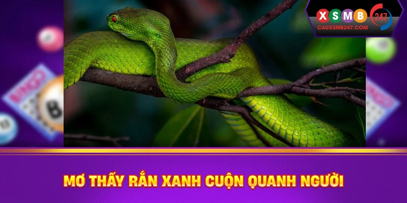 Mơ thấy rắn xanh cuộn quanh người